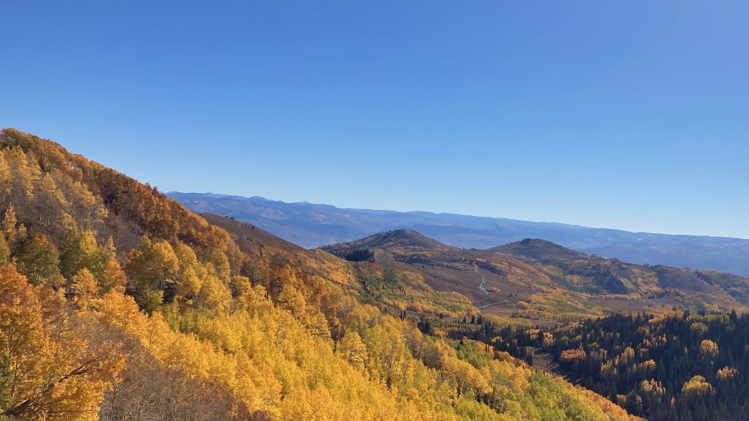 Featured image for “Your Guide to Leaf Peeping in Park City”